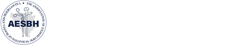 Association of endoscopic surgeons in Bosnia and Herzegovina Logo